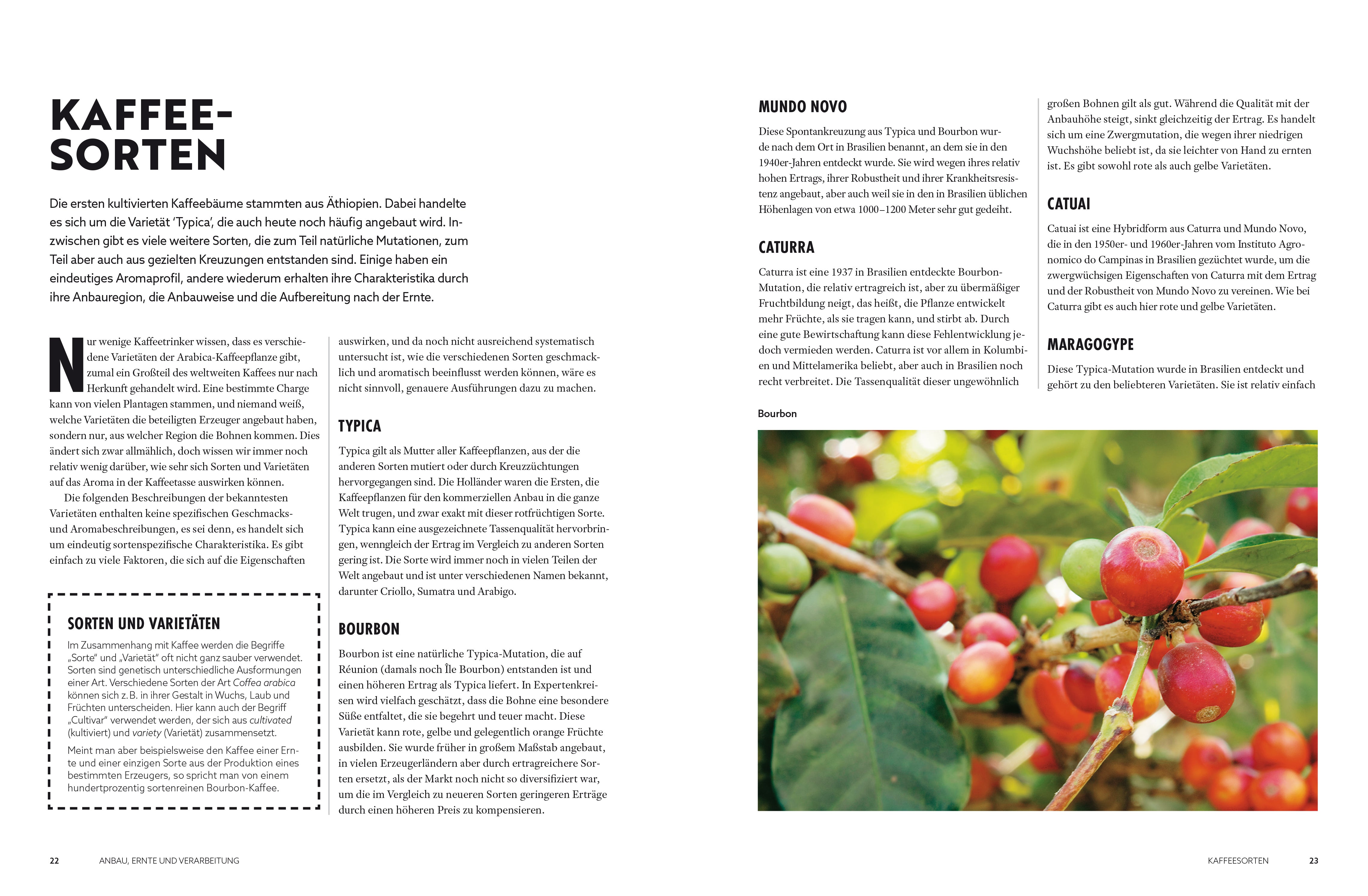 Der Kaffeeatlas: Von der Bohne bis in die Tasse alles über Kaffeegenuss